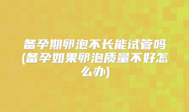 备孕期卵泡不长能试管吗(备孕如果卵泡质量不好怎么办)