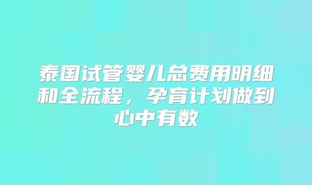 泰国试管婴儿总费用明细和全流程,孕育计划做到心中有数