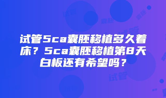 试管5ca囊胚移植多久着床?5ca囊胚移植第8天白板还有希望吗?