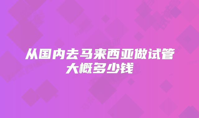 从国内去马来西亚做试管大概多少钱
