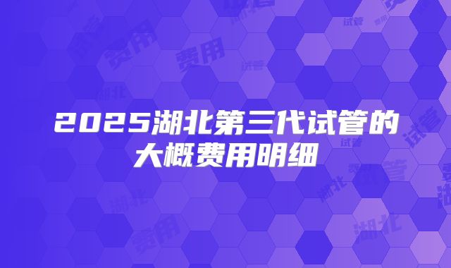 2025湖北第三代试管的大概费用明细