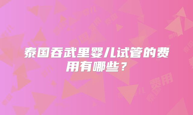 泰国吞武里婴儿试管的费用有哪些？