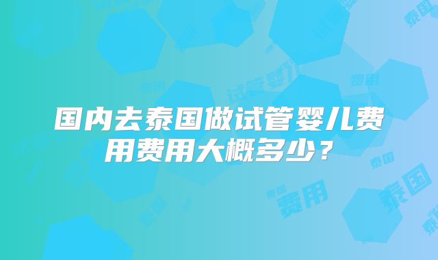 国内去泰国做试管婴儿费用费用大概多少?