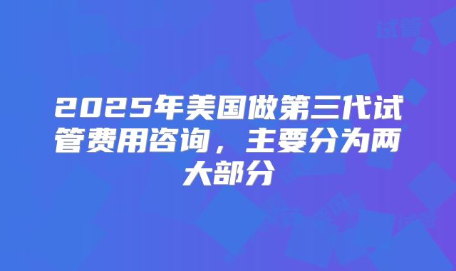 2025年美国做第三代试管费用咨询，主要分为两大部分