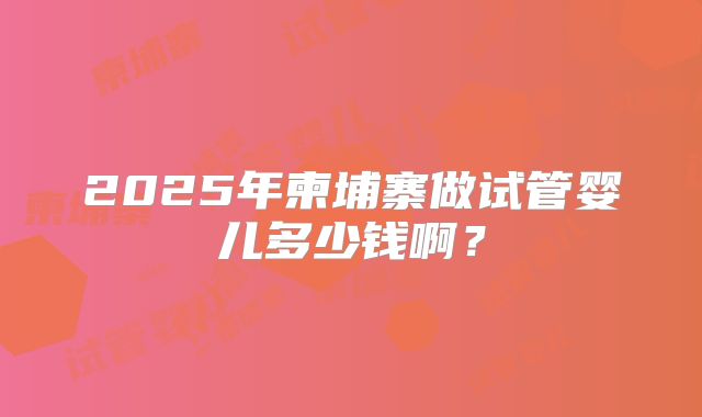 2025年柬埔寨做试管婴儿多少钱啊？