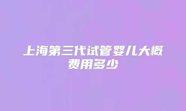 上海第三代试管婴儿大概费用多少