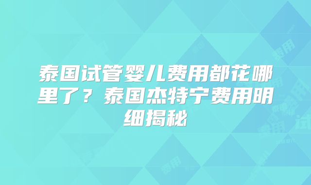 泰国试管婴儿费用都花哪里了？泰国杰特宁费用明细揭秘