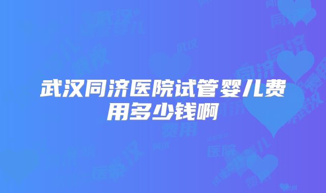 武汉同济医院试管婴儿费用多少钱啊
