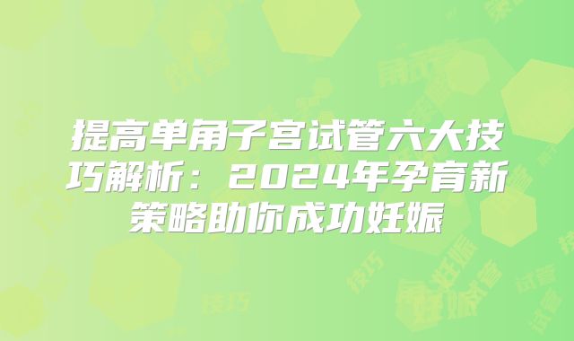 提高单角子宫试管六大技巧解析:2024年孕育新策略助你成功妊娠
