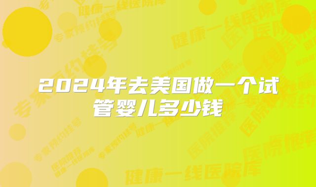 2024年去美国做一个试管婴儿多少钱