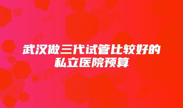 武汉做三代试管比较好的私立医院预算