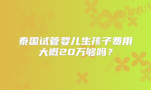 泰国试管婴儿生孩子费用大概20万够吗？