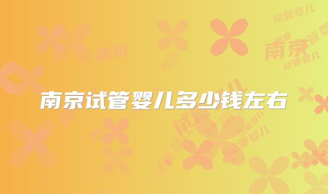 南京试管婴儿多少钱左右