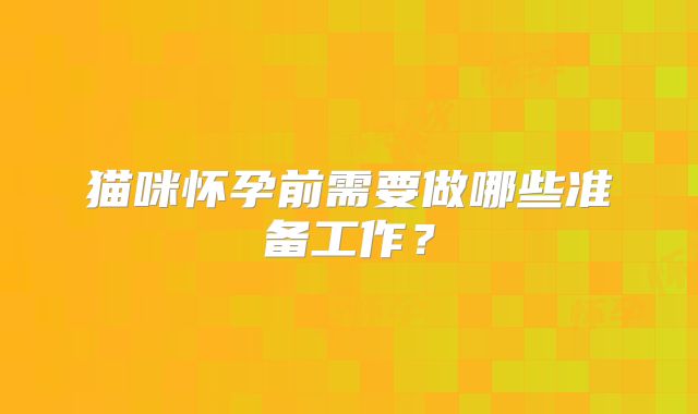 猫咪怀孕前需要做哪些准备工作？