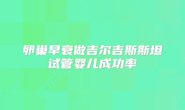 卵巢早衰做吉尔吉斯斯坦试管婴儿成功率