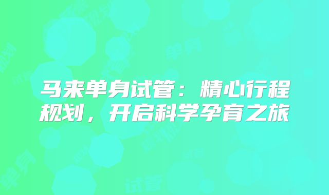 马来单身试管：精心行程规划，开启科学孕育之旅