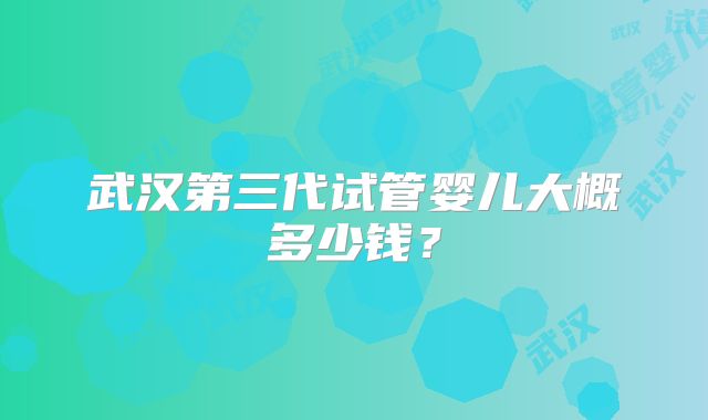 武汉第三代试管婴儿大概多少钱?