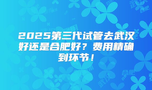 2025第三代试管去武汉好还是合肥好?费用精确到环节!