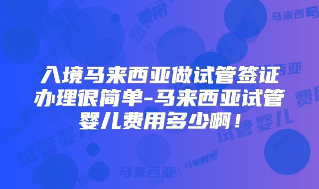 入境马来西亚做试管签证办理很简单-马来西亚试管婴儿费用多少啊！