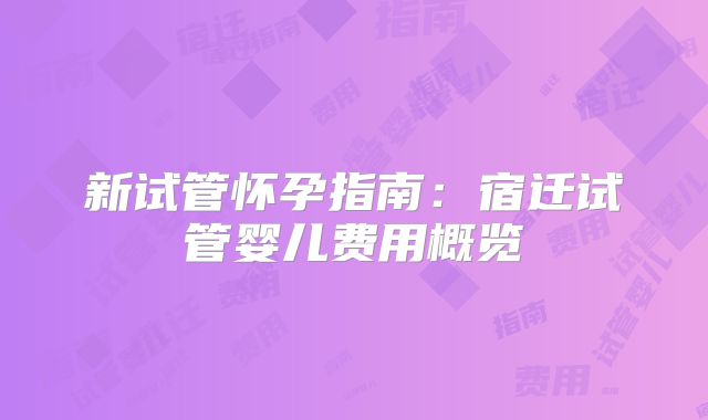 新试管怀孕指南:宿迁试管婴儿费用概览