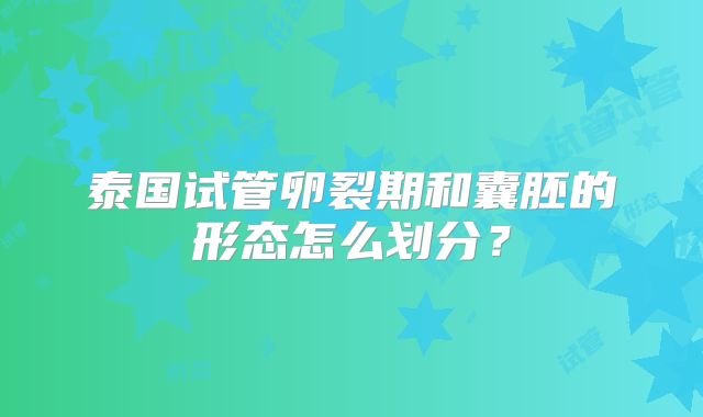 泰国试管卵裂期和囊胚的形态怎么划分？