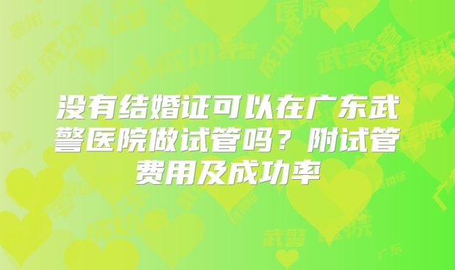 没有结婚证可以在广东武警医院做试管吗？附试管费用及成功率