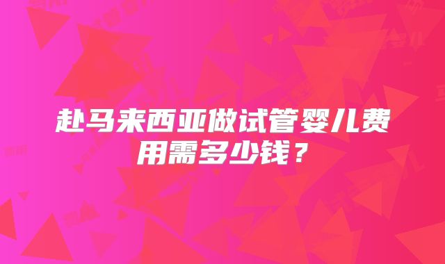 赴马来西亚做试管婴儿费用需多少钱？
