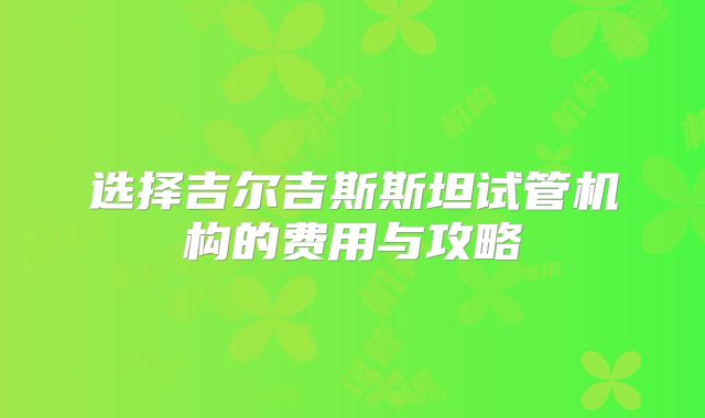 选择吉尔吉斯斯坦试管机构的费用与攻略