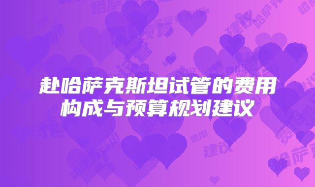 赴哈萨克斯坦试管的费用构成与预算规划建议