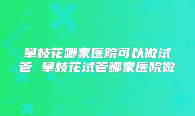 攀枝花哪家医院可以做试管 攀枝花试管哪家医院做