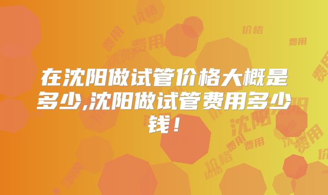 在沈阳做试管价格大概是多少,沈阳做试管费用多少钱！