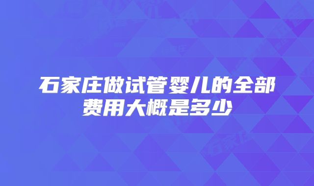 石家庄做试管婴儿的全部费用大概是多少