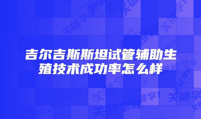 吉尔吉斯斯坦试管辅助生殖技术成功率怎么样