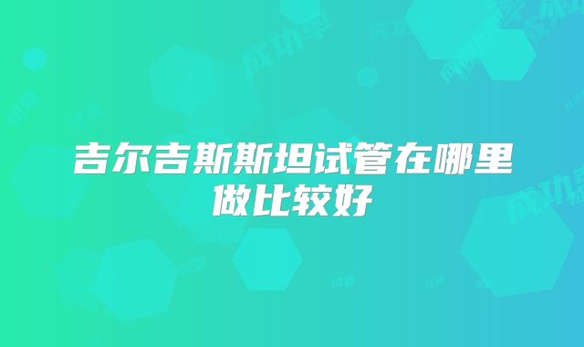 吉尔吉斯斯坦试管在哪里做比较好