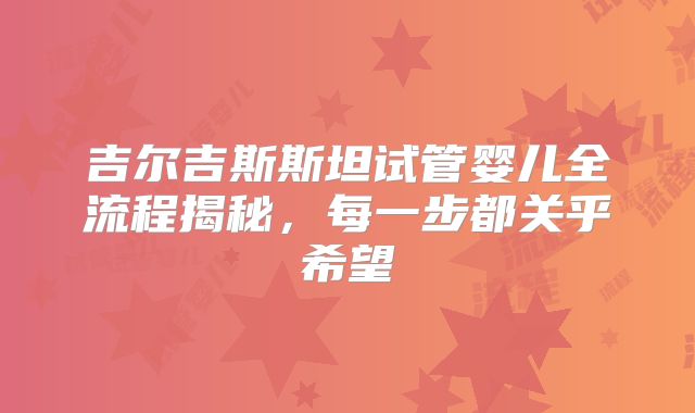 吉尔吉斯斯坦试管婴儿全流程揭秘，每一步都关乎希望
