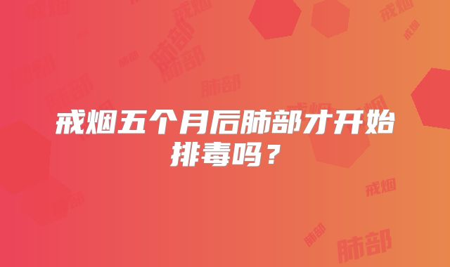 戒烟五个月后肺部才开始排毒吗？
