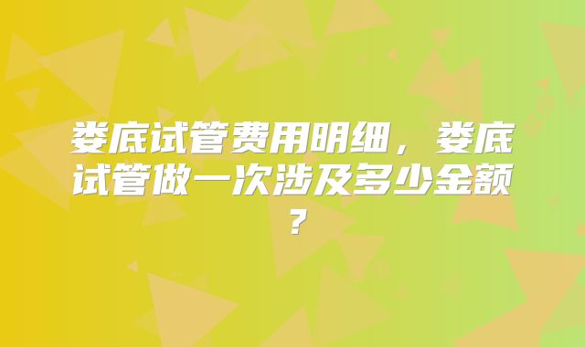 娄底试管费用明细，娄底试管做一次涉及多少金额？
