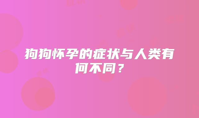 狗狗怀孕的症状与人类有何不同？