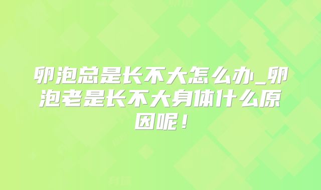 卵泡总是长不大怎么办_卵泡老是长不大身体什么原因呢！