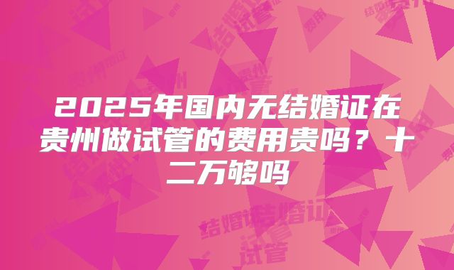 2025年国内无结婚证在贵州做试管的费用贵吗?十二万够吗