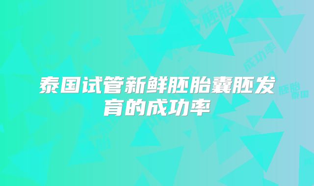 泰国试管新鲜胚胎囊胚发育的成功率