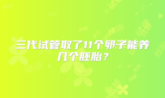 三代试管取了11个卵子能养几个胚胎?