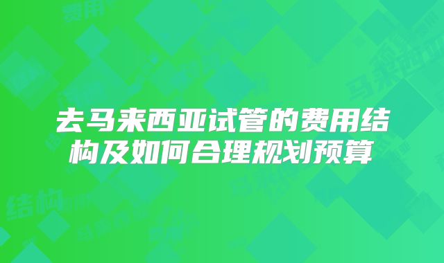 去马来西亚试管的费用结构及如何合理规划预算
