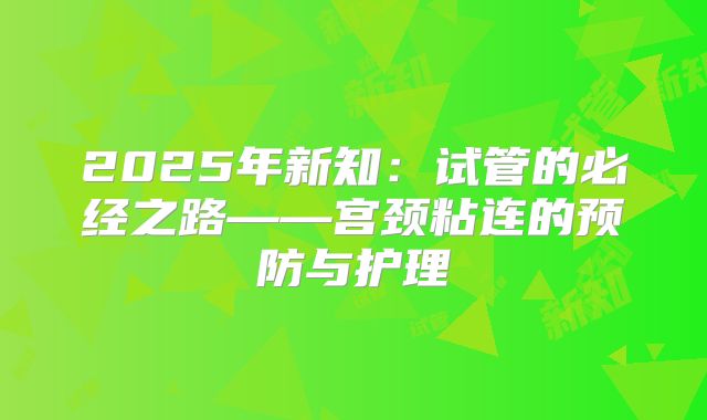 2025年新知：试管的必经之路——宫颈粘连的预防与护理