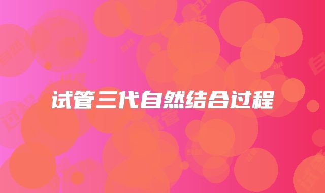 试管三代自然结合过程