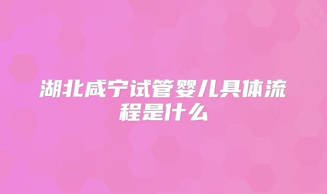 湖北咸宁试管婴儿具体流程是什么