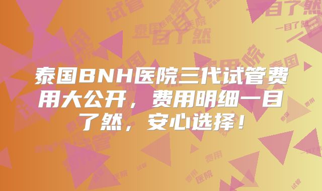 泰国BNH医院三代试管费用大公开，费用明细一目了然，安心选择！
