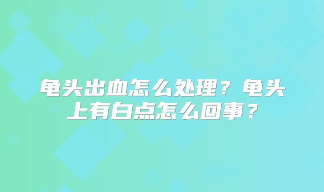龟头出血怎么处理?龟头上有白点怎么回事?