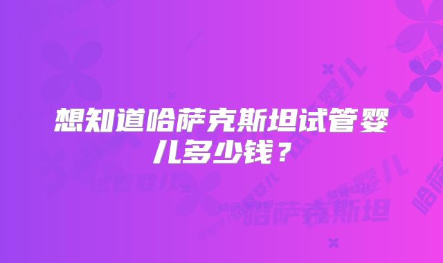 想知道哈萨克斯坦试管婴儿多少钱？