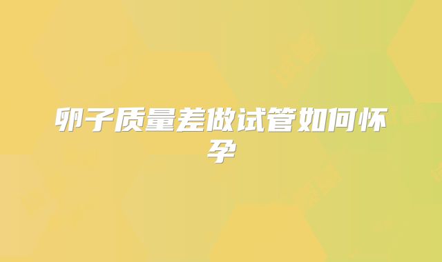 卵子质量差做试管如何怀孕